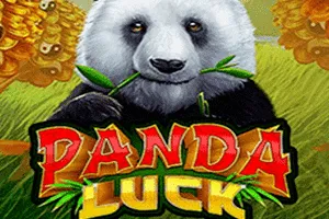 Playtech : Panda Luck - POWERPLAY128